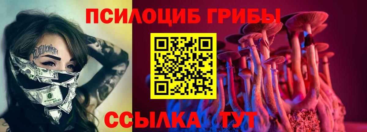 Псилоцибиновые грибы Magic Shrooms Всеволожск
