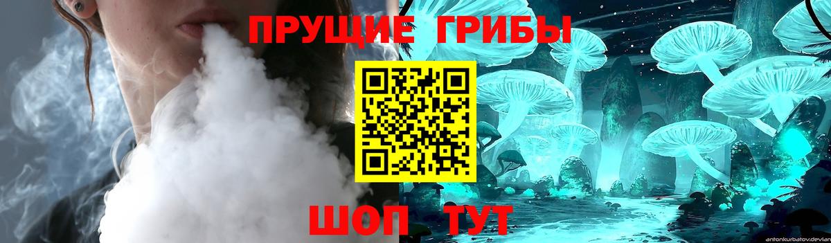 Галлюциногенные грибы GOLDEN TEACHER  Вход с VPN  Псилоцибиновые грибы мицелий  купить   Всеволожск 